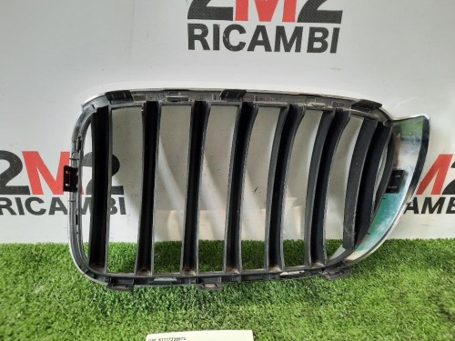 Griglia Radiatore DX 51117338572 Bmw X4 F26 2014