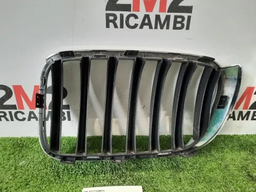 Griglia Radiatore DX 51117338572 Bmw X4 F26 2014
