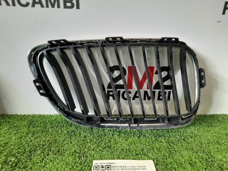 Griglia Radiatore SX 51137295521 Bmw Serie 2 F22 Coupe 2014