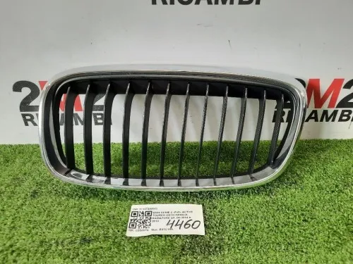 Griglia Radiatore SX 51137300543 Bmw Serie 2 F45 Active Tourer 2014