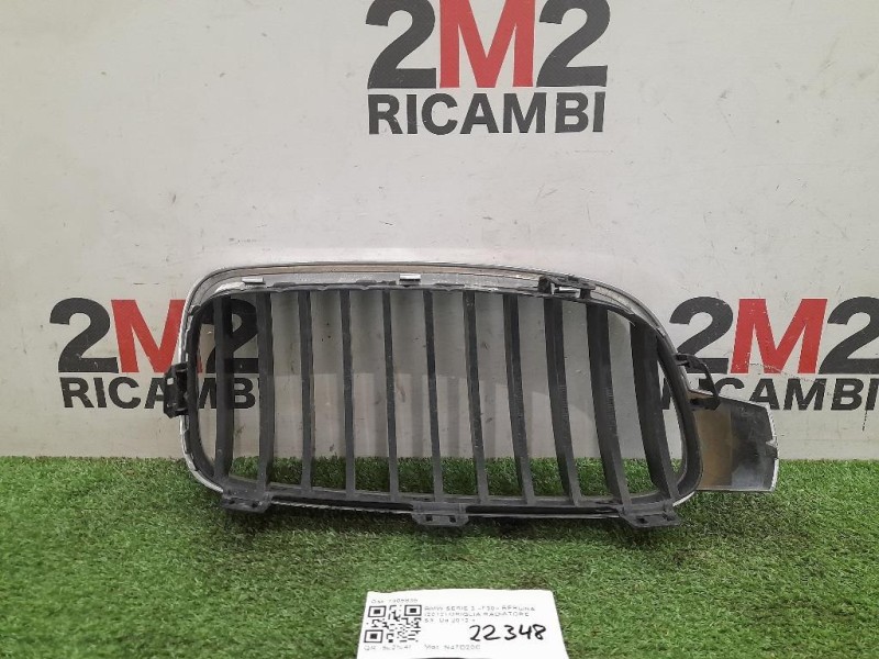 Griglia Radiatore SX 7405835 Bmw Serie 3 F30 Berlina 2012