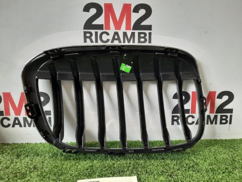 Griglia Radiatore SX 51117383365 Bmw X1 F48 2015