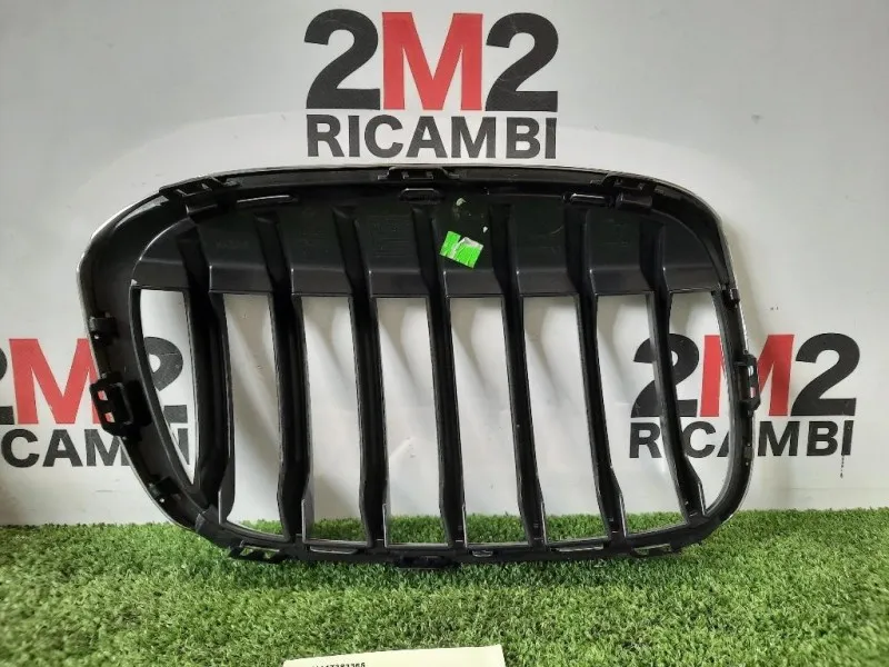 Griglia Radiatore SX 51117383365 Bmw X1 F48 2015