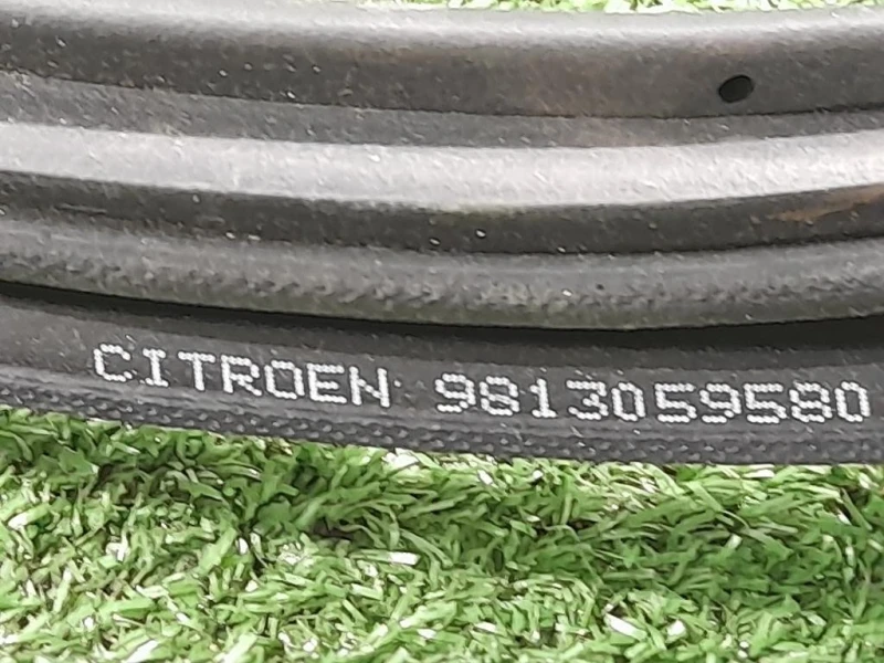 Guarnizione ANT Porta ANT DX 9813059580 DX Citroen C3 III 2016