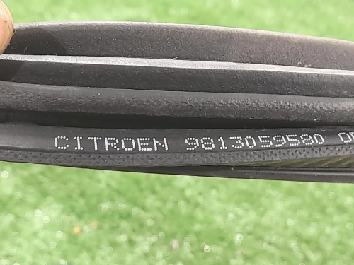 Guarnizione ANT Porta ANT SX 9813059580 SX Citroen C3 III 2016