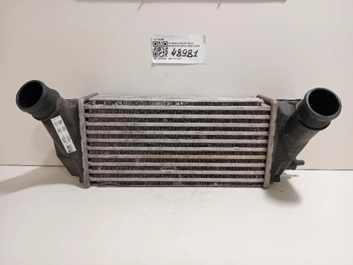 Intercooler 2163154 Ford Ecosport 2017