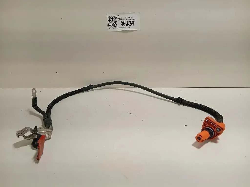 Cablaggio CABLAGGIO Opel Mokka B 2020