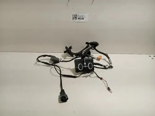 Cablaggio Porta Posteriore SX 4L0 971 841 Audi A6 4G2 2011