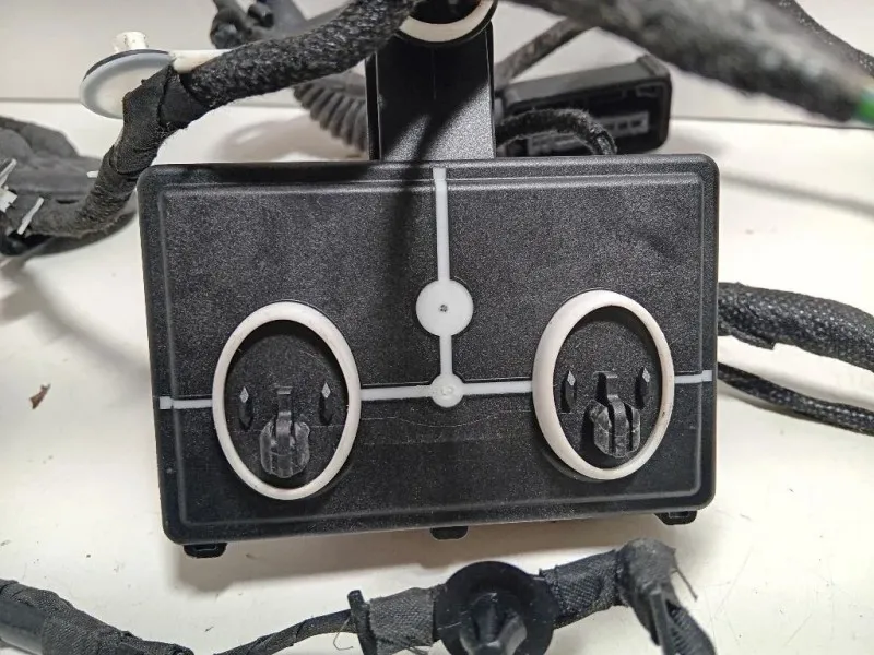 Cablaggio Porta Posteriore SX 4L0 971 841 Audi A6 4G2 2011