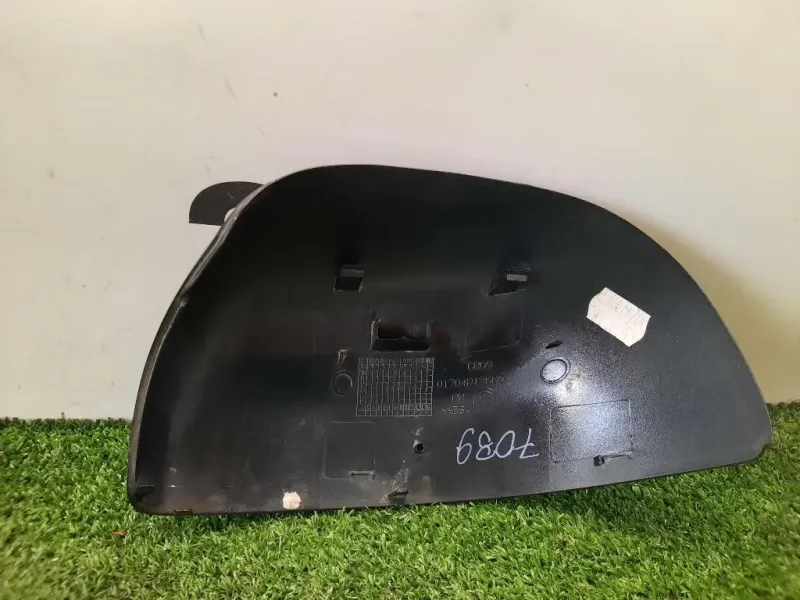 Calotta Specchio Retrovisore ANT DX 01704813000 Fiat Panda III 2012