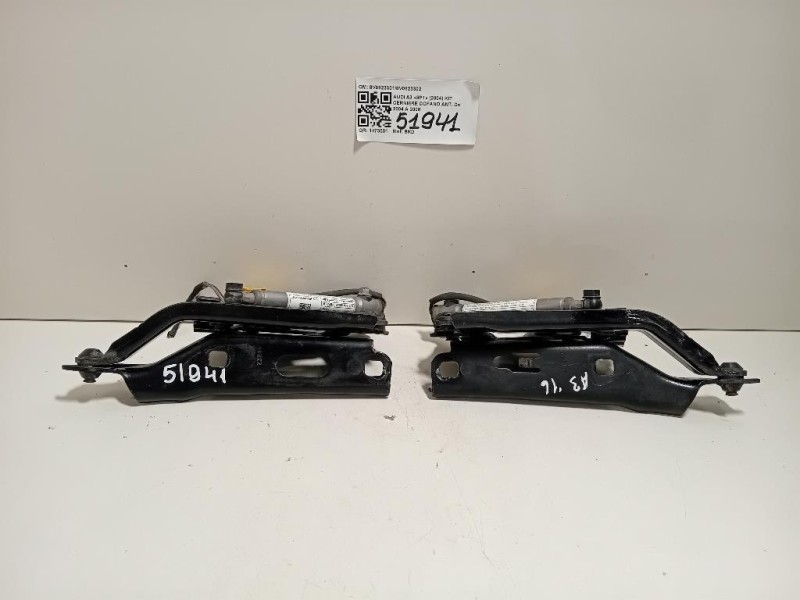 KIT Cerniere Cofano ANT 8V08233018V0823302 Audi A3 8P1 2004