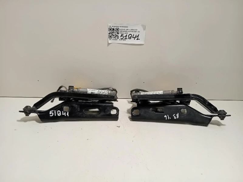 KIT Cerniere Cofano ANT 8V08233018V0823302 Audi A3 8P1 2004