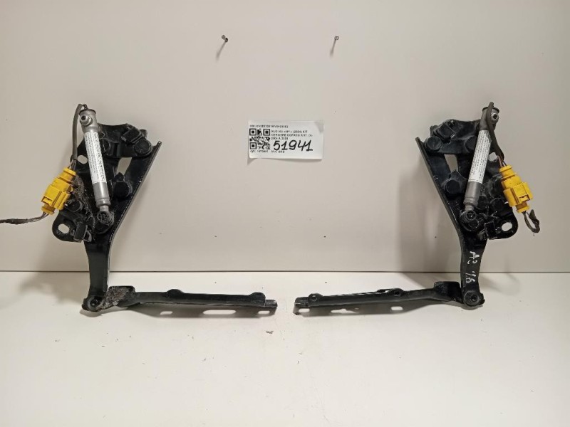 KIT Cerniere Cofano ANT 8V08233018V0823302 Audi A3 8P1 2004