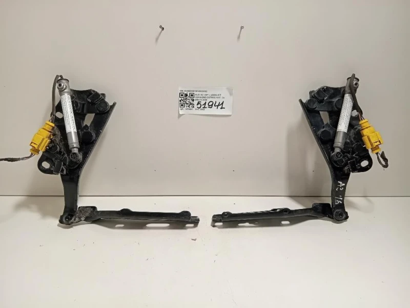 KIT Cerniere Cofano ANT 8V08233018V0823302 Audi A3 8P1 2004