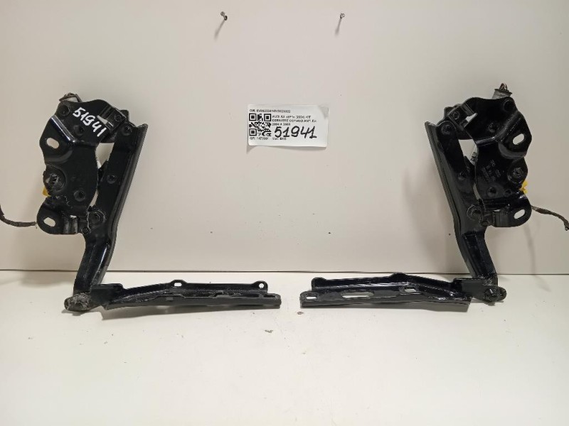 KIT Cerniere Cofano ANT 8V08233018V0823302 Audi A3 8P1 2004