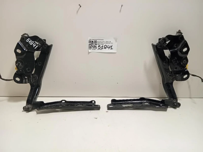 KIT Cerniere Cofano ANT 8V08233018V0823302 Audi A3 8P1 2004