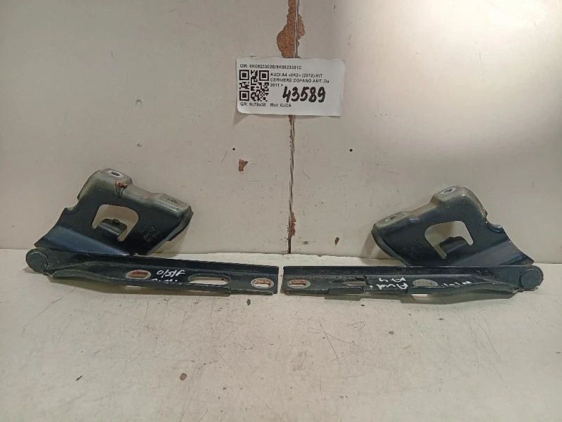 KIT Cerniere Cofano ANT 8K0823302B8K0823301C Audi A4 8K2 2012