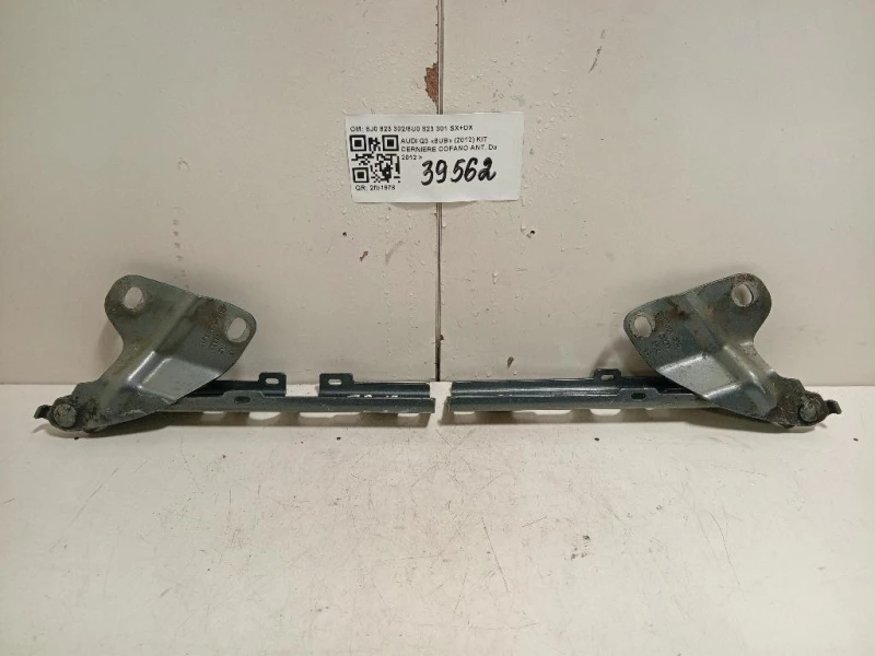 KIT Cerniere Cofano ANT 8J0 823 3028U0 823 301 SX+DX Audi Q3 8UB 2012
