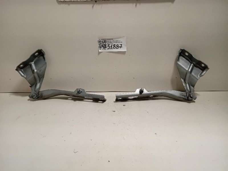 KIT Cerniere Cofano ANT 8R08233018R0823302 Audi Q5 8RB 2009