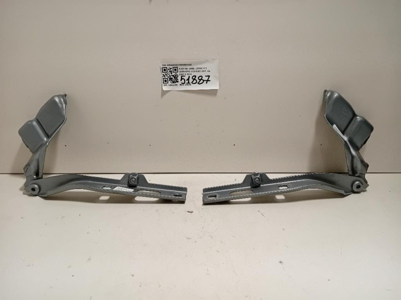 KIT Cerniere Cofano ANT 8R08233018R0823302 Audi Q5 8RB 2009