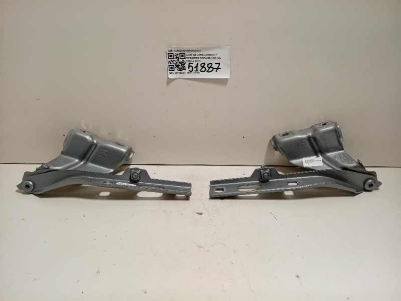 KIT Cerniere Cofano ANT 8R08233018R0823302 Audi Q5 8RB 2009