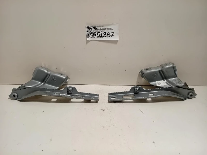 KIT Cerniere Cofano ANT 8R08233018R0823302 Audi Q5 8RB 2009