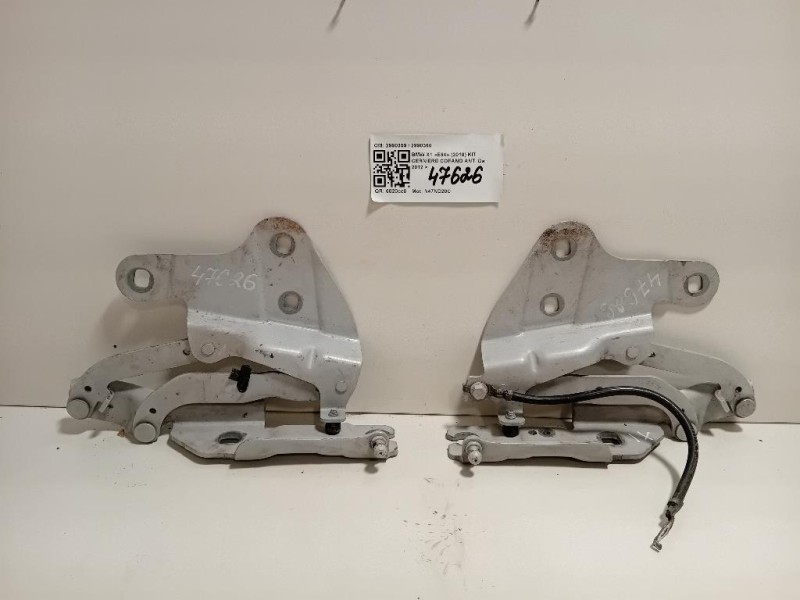 KIT Cerniere Cofano ANT 2990359 2990360 Bmw X1 E84 2010