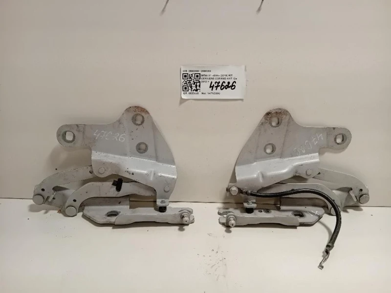 KIT Cerniere Cofano ANT 2990359 2990360 Bmw X1 E84 2010