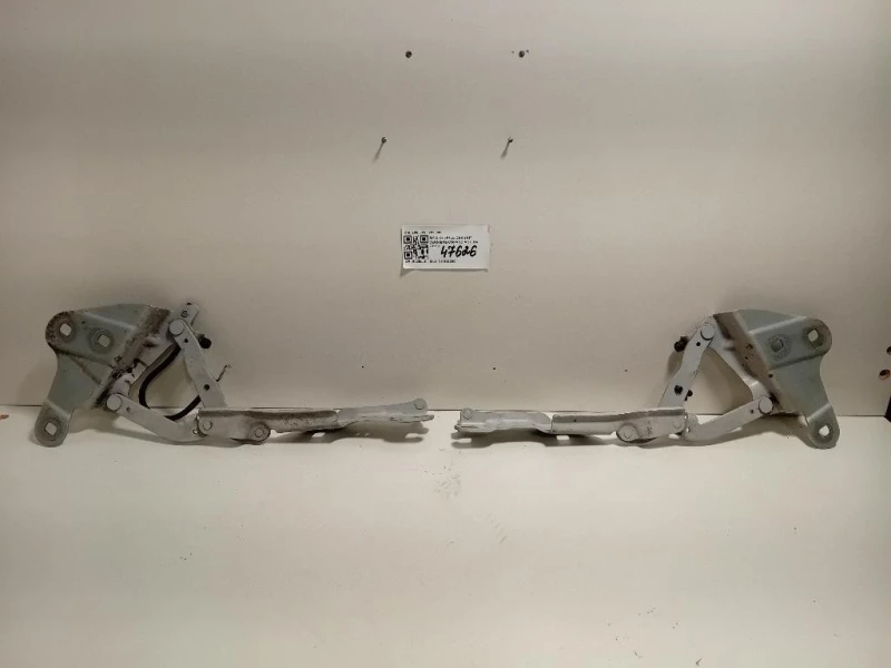 KIT Cerniere Cofano ANT 2990359 2990360 Bmw X1 E84 2010