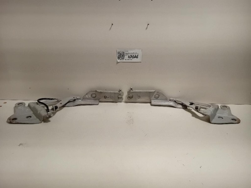 KIT Cerniere Cofano ANT 2990359 2990360 Bmw X1 E84 2010