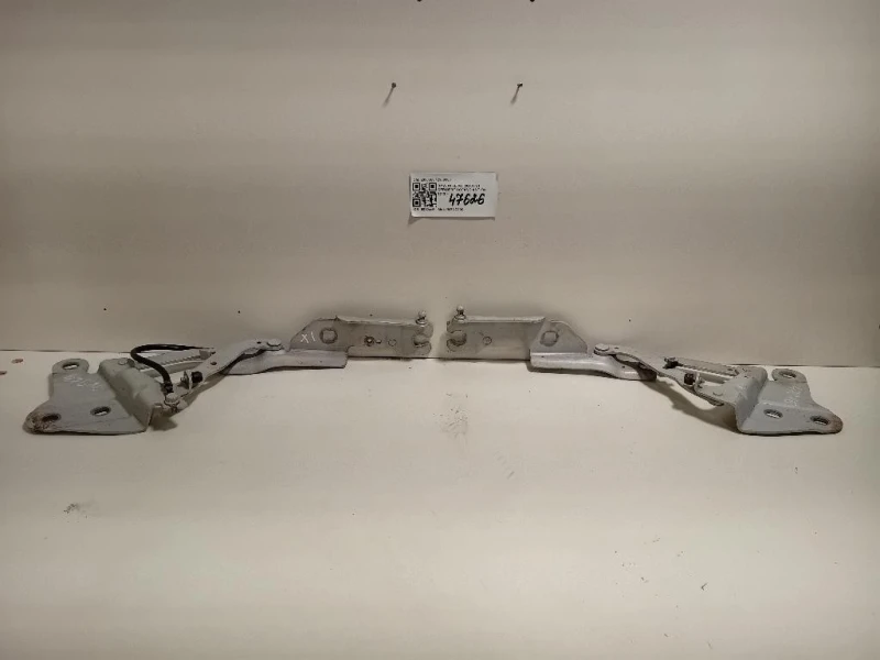 KIT Cerniere Cofano ANT 2990359 2990360 Bmw X1 E84 2010