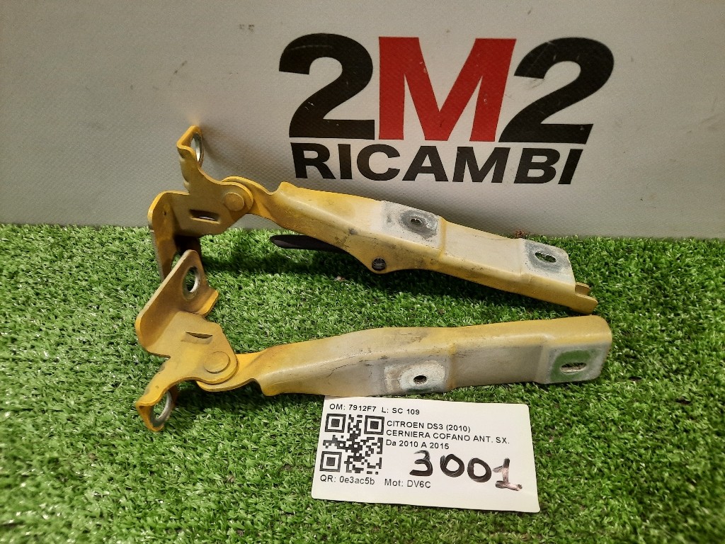 KIT Cerniere Cofano ANT 7912F7 Citroen DS3 2010