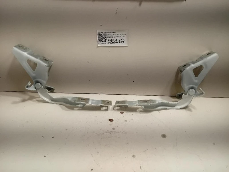 KIT Cerniere Cofano ANT 654009346R654014089R Dacia Duster III 2024