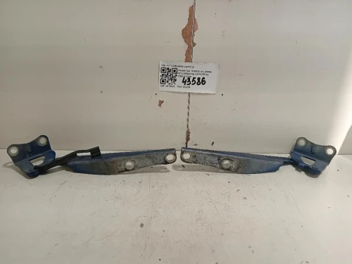 KIT Cerniere Cofano ANT KIT CERNIERE COFANO ANT Daihatsu Terios II 2006