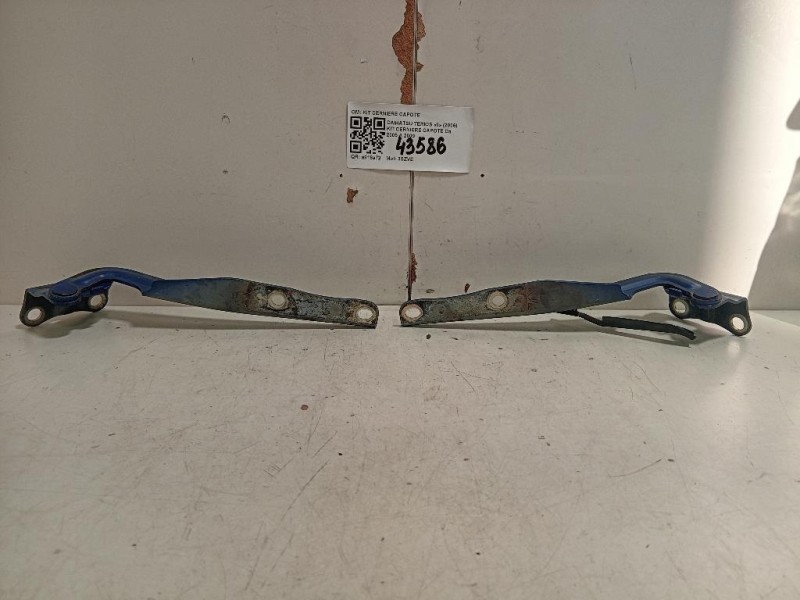 KIT Cerniere Cofano ANT KIT CERNIERE COFANO ANT Daihatsu Terios II 2006
