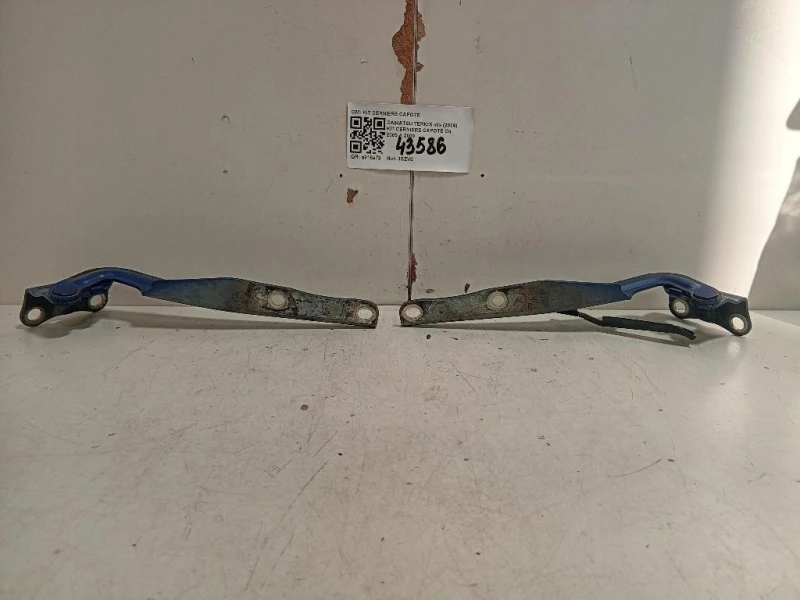 KIT Cerniere Cofano ANT KIT CERNIERE COFANO ANT Daihatsu Terios II 2006