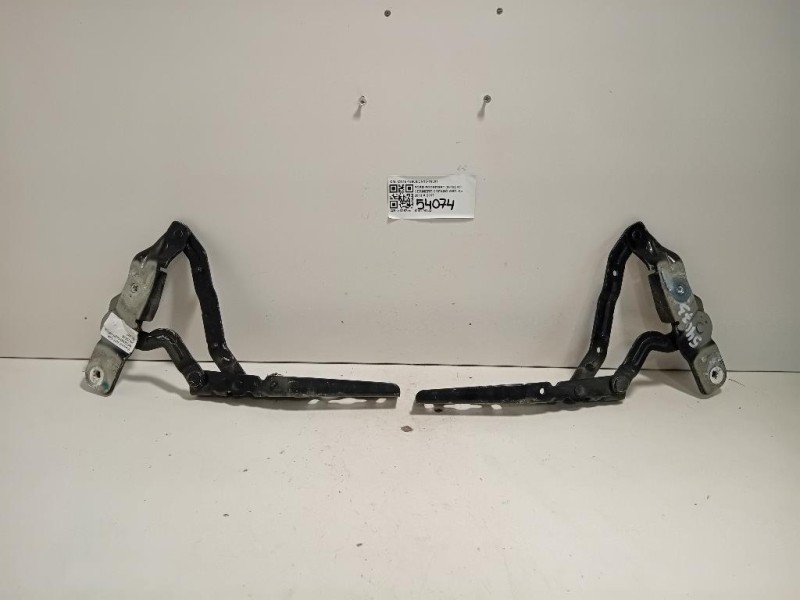 KIT Cerniere Cofano ANT CN15-16800CN15-16801 Ford Ecosport 2013