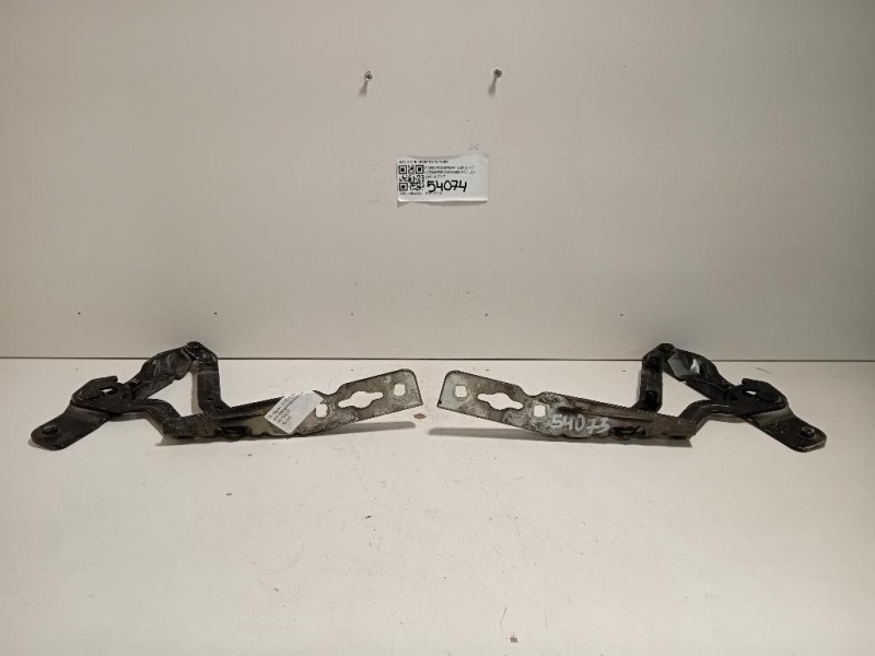 KIT Cerniere Cofano ANT CN15-16800CN15-16801 Ford Ecosport 2013