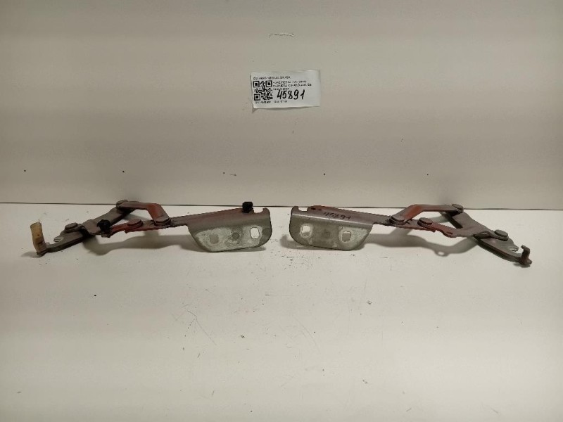 KIT Cerniere Cofano ANT 8A61-16800-AC DX+SX Ford Fiesta VI 2008