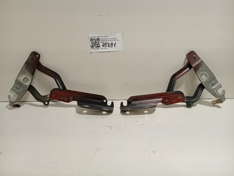 KIT Cerniere Cofano ANT 8A61-16800-AC DX+SX Ford Fiesta VI 2008