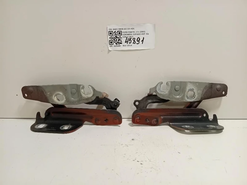 KIT Cerniere Cofano ANT 8A61-16800-AC DX+SX Ford Fiesta VI 2008
