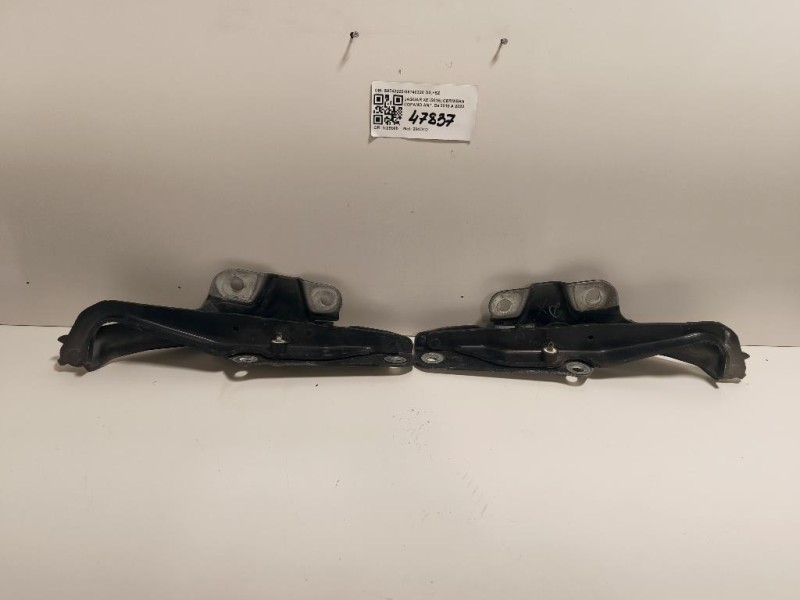 KIT Cerniere Cofano ANT S9740220S9740320 DX+SZ Jaguar XF I 2011