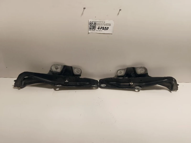 KIT Cerniere Cofano ANT S9740220S9740320 DX+SZ Jaguar XF I 2011