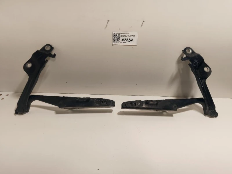 KIT Cerniere Cofano ANT S9740220S9740320 DX+SZ Jaguar XF I 2011