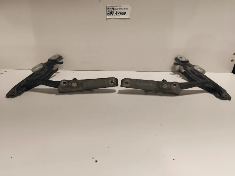 KIT Cerniere Cofano ANT S9740220S9740320 DX+SZ Jaguar XF I 2011