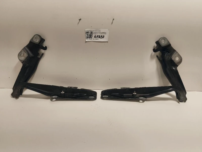 KIT Cerniere Cofano ANT S9740220S9740320 DX+SZ Jaguar XF I 2011