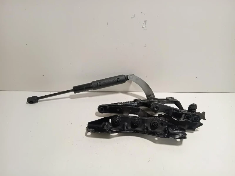 KIT Cerniere Cofano ANT A2218800328A2218800428 Mercedes Classe S W221 2006