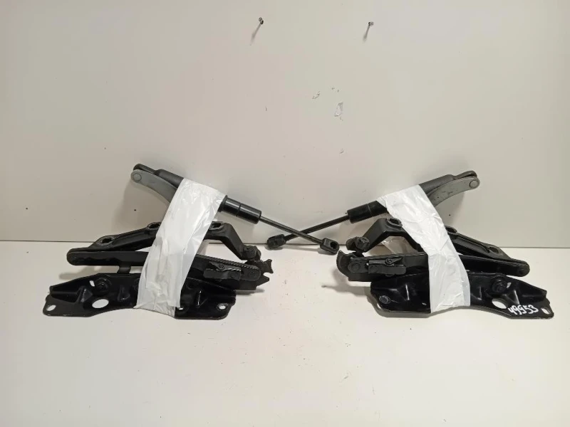 KIT Cerniere Cofano ANT A2218800328A2218800428 Mercedes Classe S W221 2006