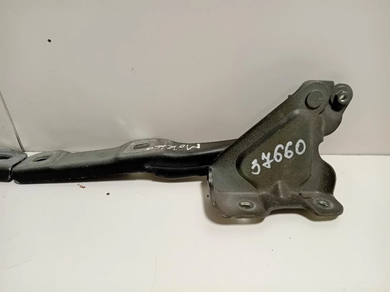 KIT Cerniere Cofano ANT 9542158095421581 SX+DX Opel Mokka 2013