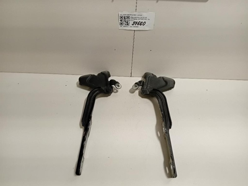 KIT Cerniere Cofano ANT 9542158095421581 SX+DX Opel Mokka 2013